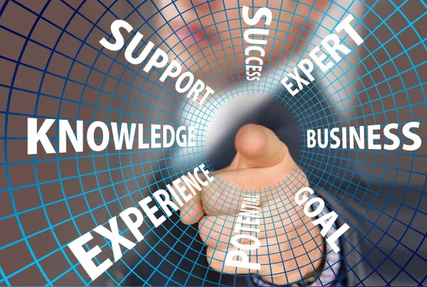 Executive coaching